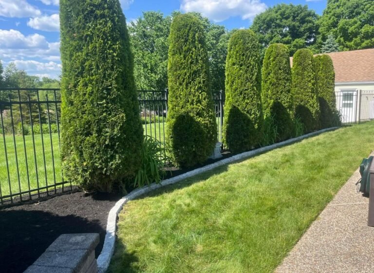 WhatsApp Image 2025-12-31 at 11.53