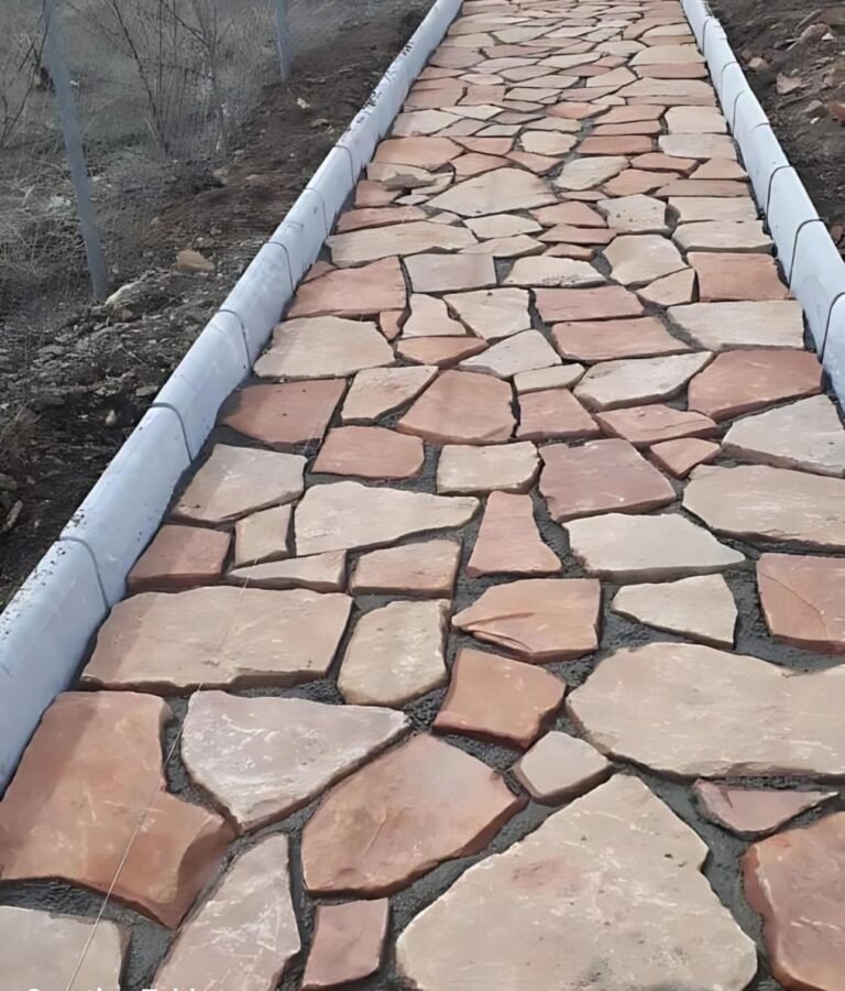 WhatsApp Image 2025-12-31 at 11.54