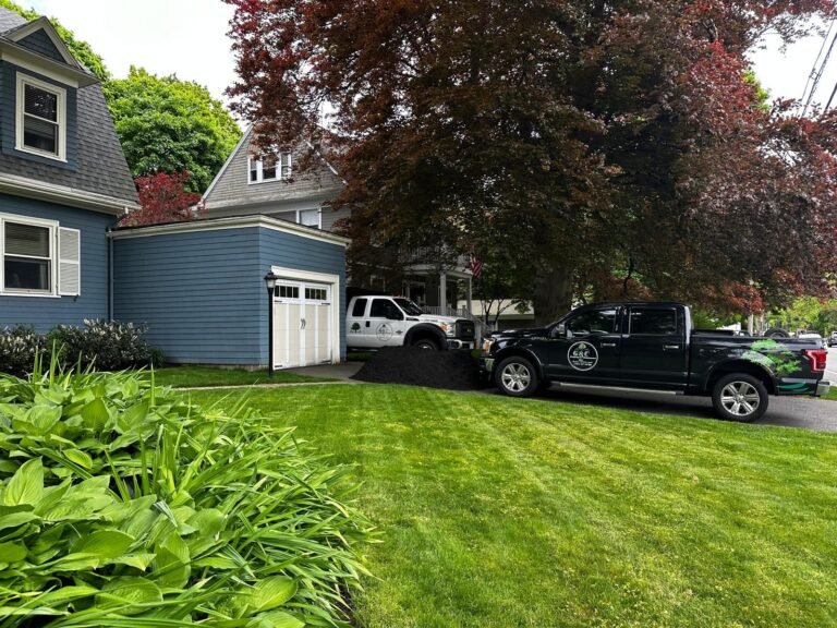 WhatsApp Image 2025-12-31 at 11.54