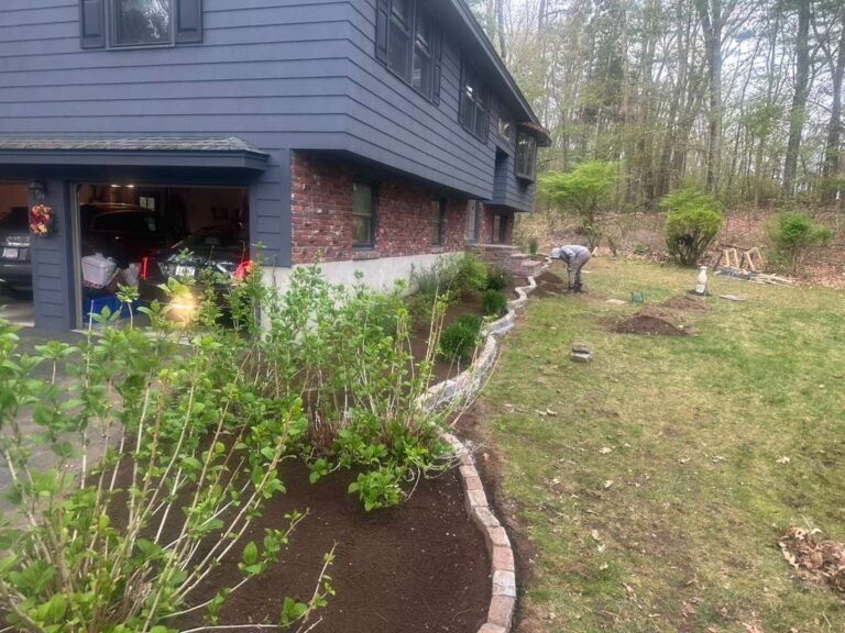 WhatsApp Image 2025-12-31 at 11.54