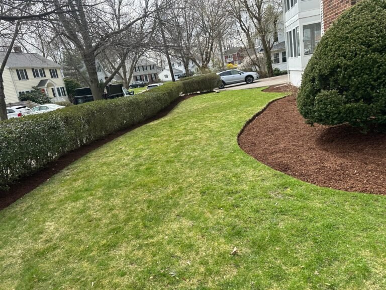 WhatsApp Image 2025-12-31 at 11.54