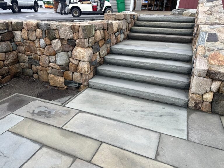 WhatsApp Image 2025-12-31 at 11.55