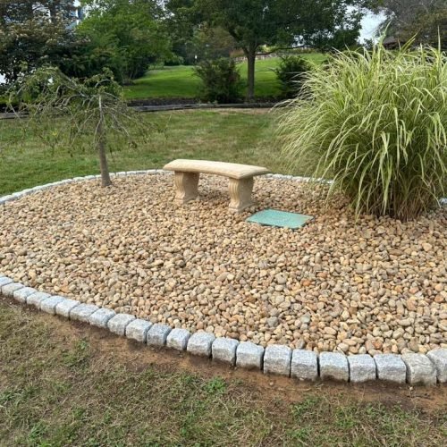 WhatsApp Image 2025-12-31 at 11.53.49 AM