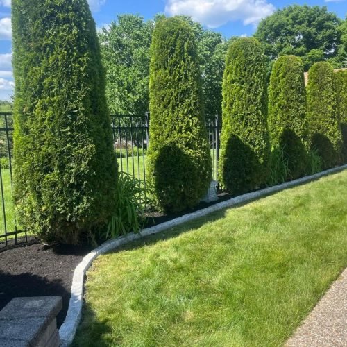 WhatsApp Image 2025-12-31 at 11.53.59 AM