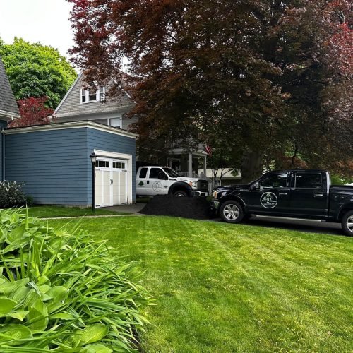 WhatsApp Image 2025-12-31 at 11.54.30 AM