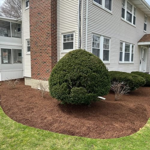 WhatsApp Image 2025-12-31 at 11.54.57 AM