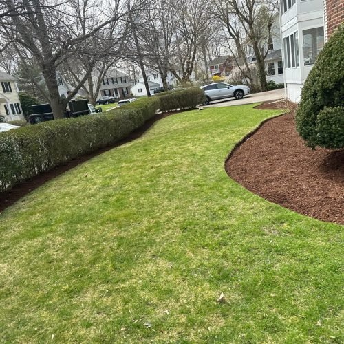 WhatsApp Image 2025-12-31 at 11.54.58 AM