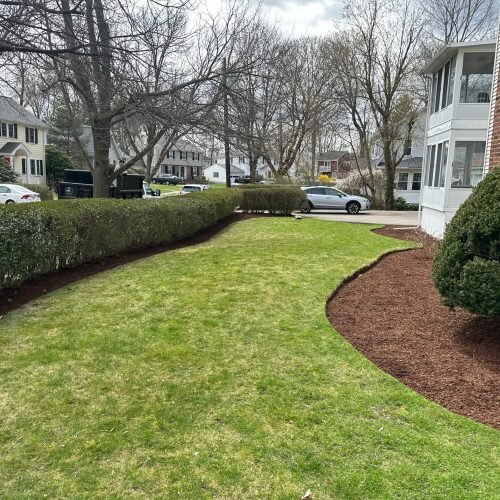 WhatsApp Image 2025-12-31 at 11.55.00 AM